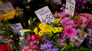 Blumen Preise