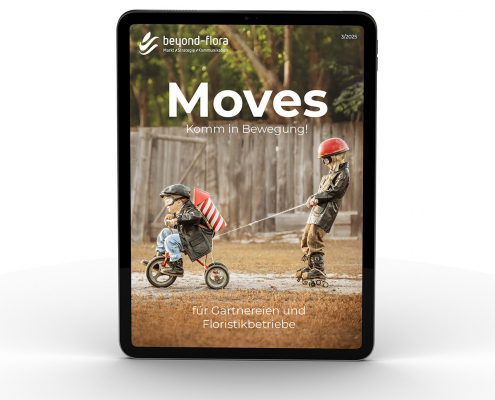 202509_Mock-Up-Moves-Inhalt_1