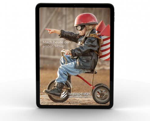 202509_Mock-Up-Moves-Inhalt_5